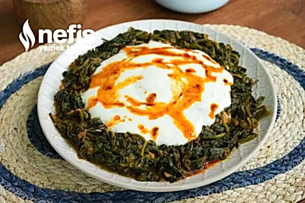 Ispanak Yemeğinin Yanına İyi Giden Videolu 15 Tarif Tarifi